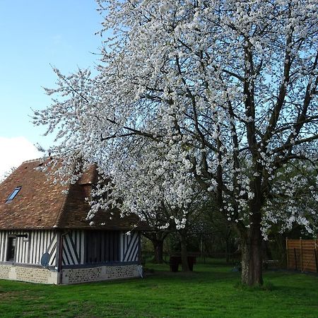 Gite Falafa Normand Pont-l'Eveque  Bagian luar foto
